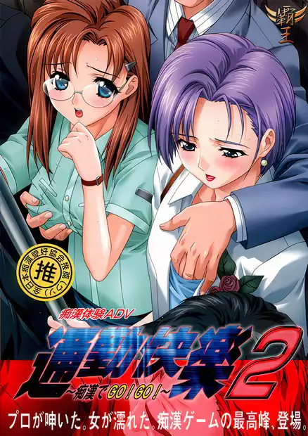 Tsuukin Kairaku: Chikan de Go!!