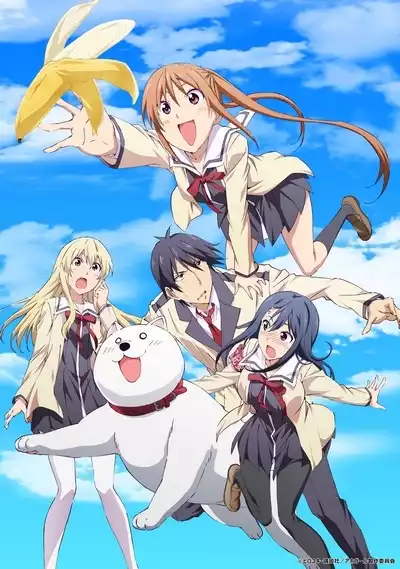 Дурочка / Aho Girl